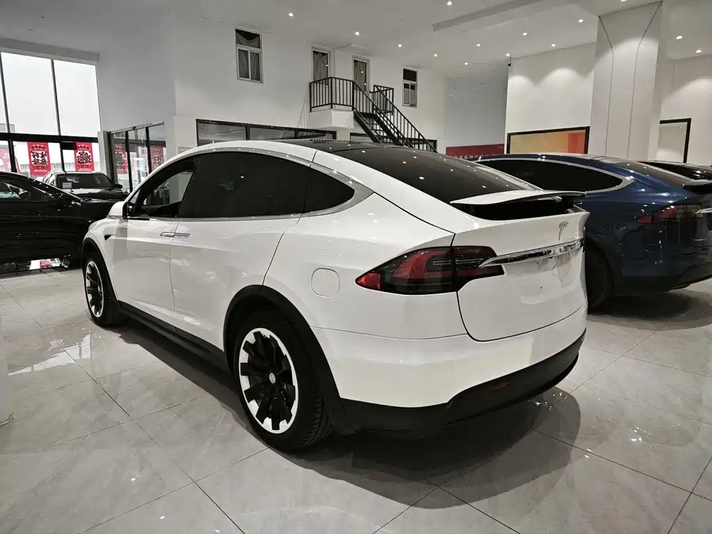 Tesla Model X 2020 — фото 6