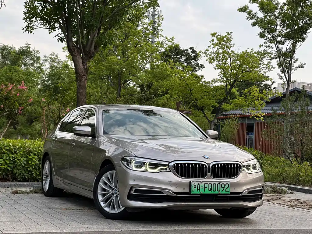 BMW 5 Series New Energy 2020