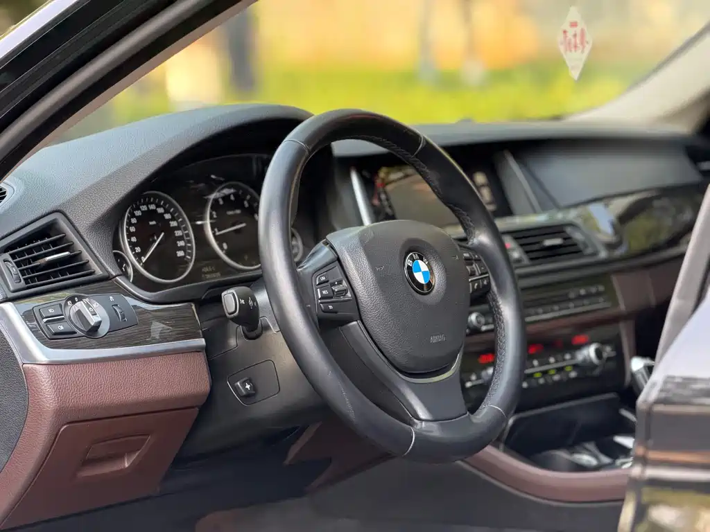 BMW 5 Series 2016 — фото 6
