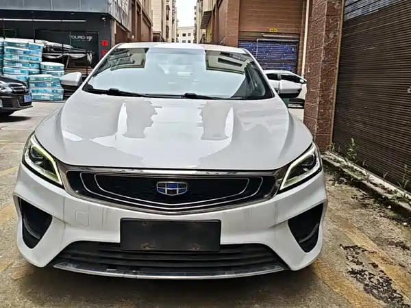 Geely Binrui 2019