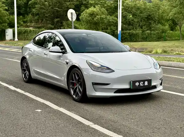Tesla Model 3 2021