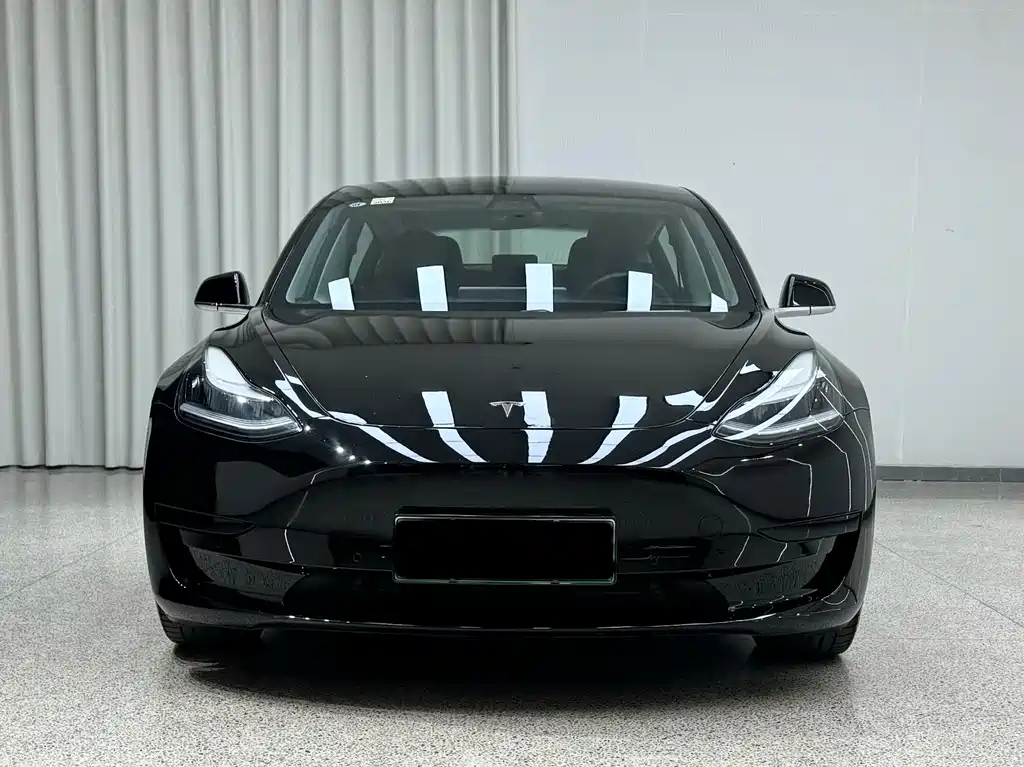 Tesla Model 3 2020 — фото 2