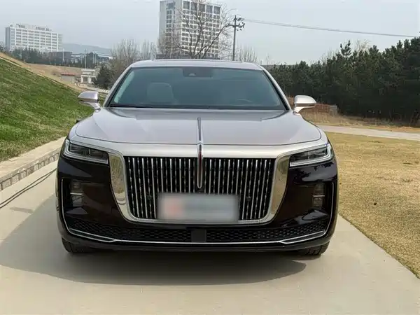 Hongqi H9 2020