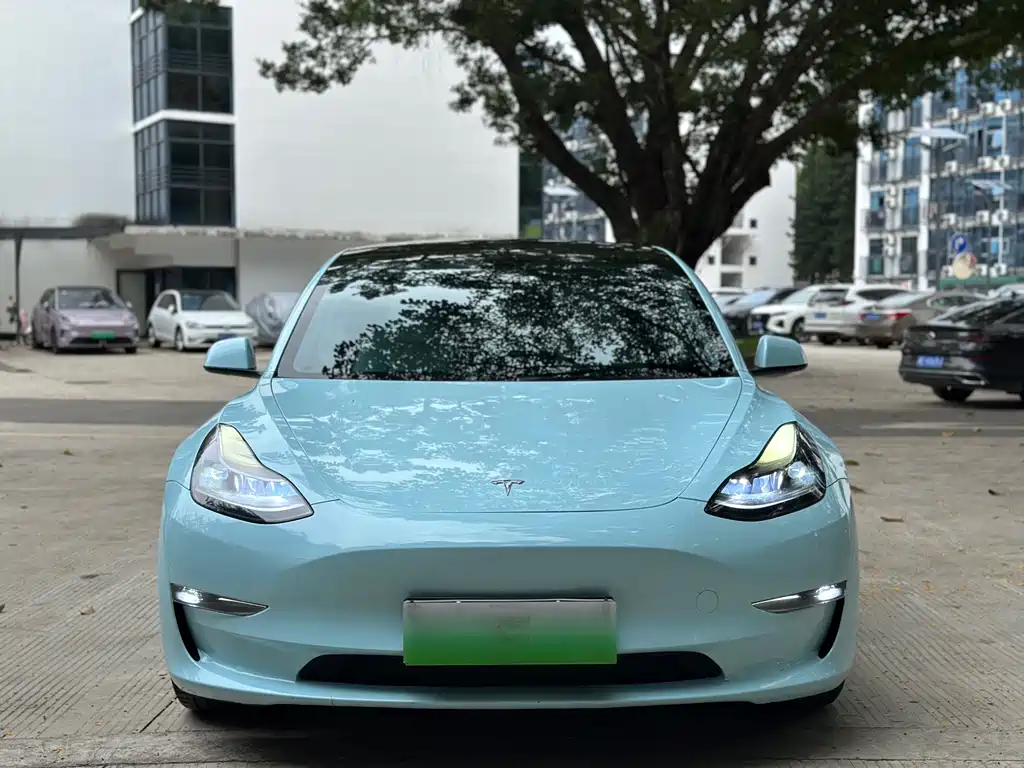 Tesla Model 3 2021 — фото 2
