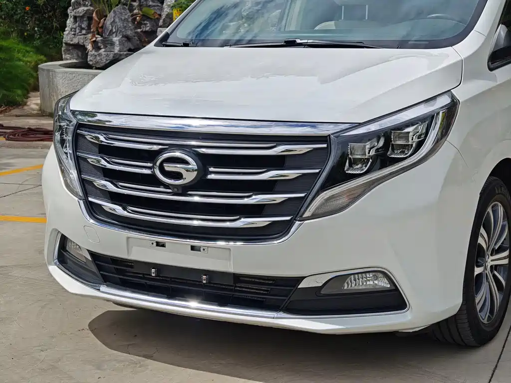 GAC Trumpchi M8 2019 — фото 12