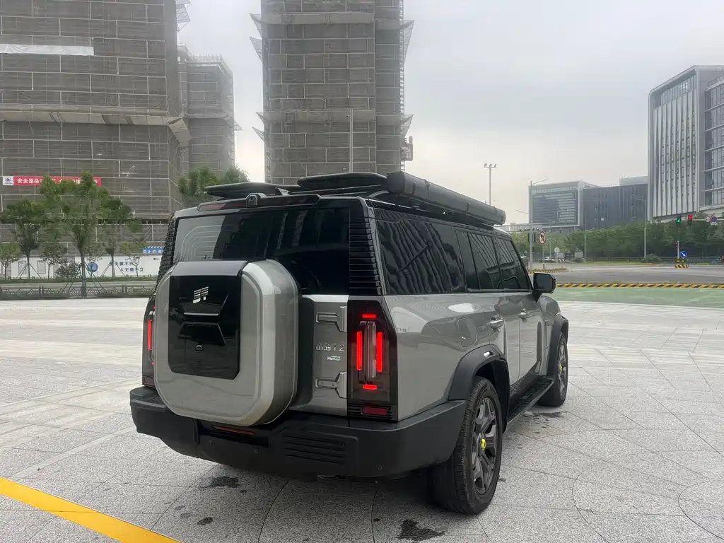 Shanhai Traveller C-DM 2025 — фото 13