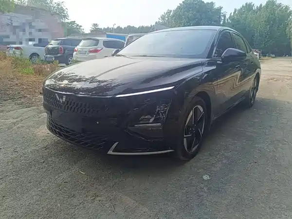 Wuling Starlight 2024
