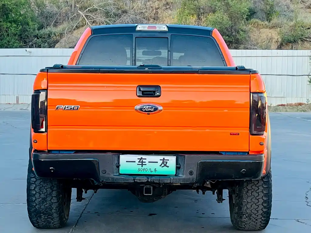 Ford F-150 Raptor 2016 — фото 8