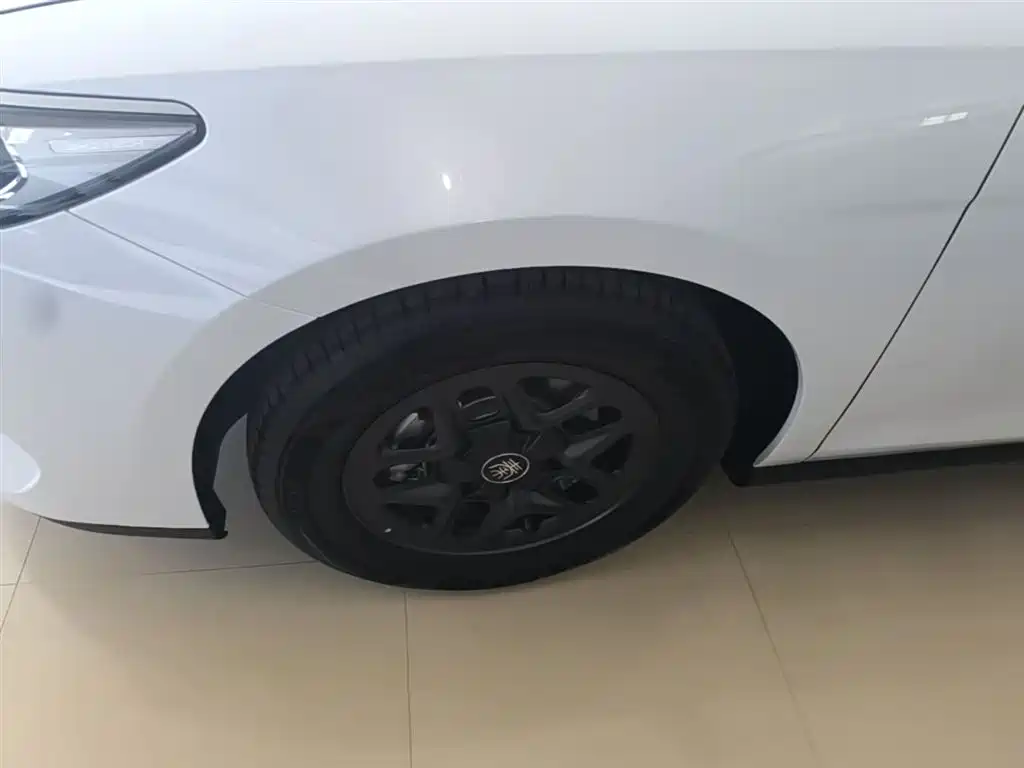 BYD Qin PLUS 2025 — фото 23