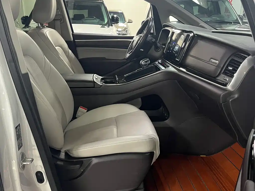 GAC Motor Trumpchi M8 2023 — фото 17
