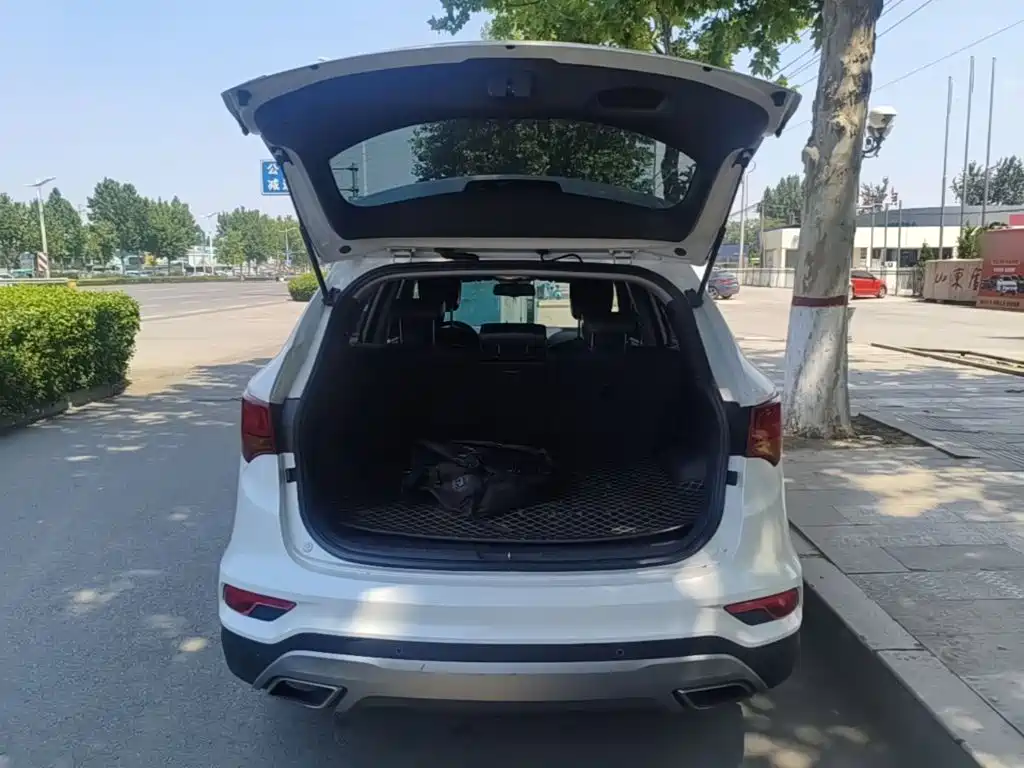 Hyundai Santa Fe 2017 — фото 19