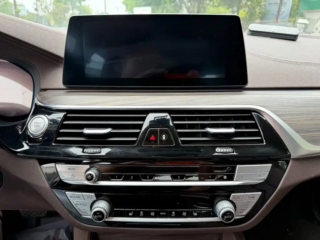 BMW 5 Series New Energy 2020 — фото 10