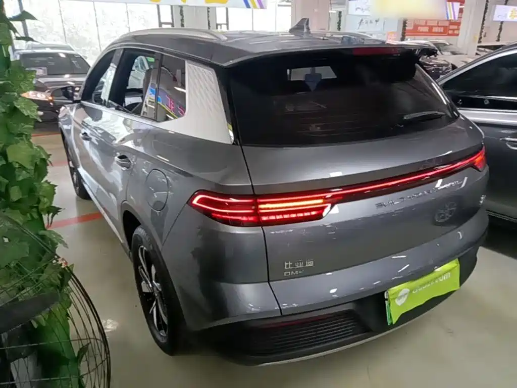 BYD Pro New Energy 2024 — фото 5
