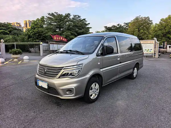 Dongfeng Lingzhi 2020