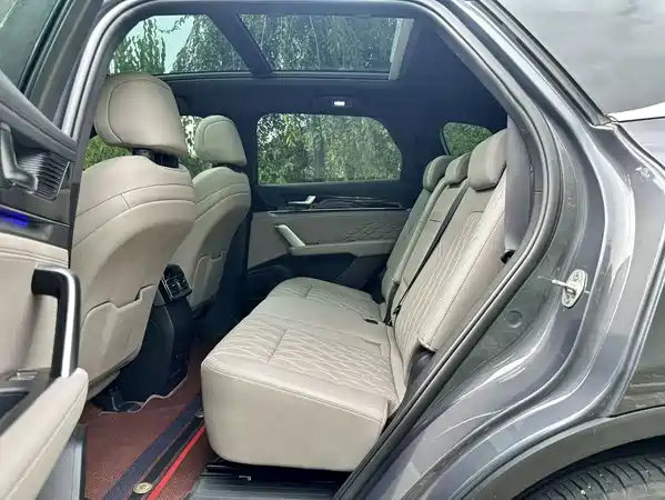 BYD Tang New Energy 2025