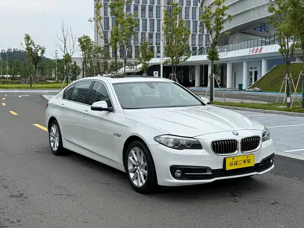 BMW 5 Series 2014