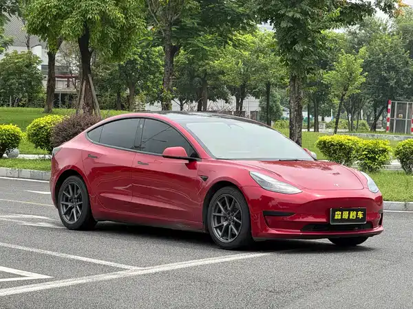 Tesla Model 3 2022
