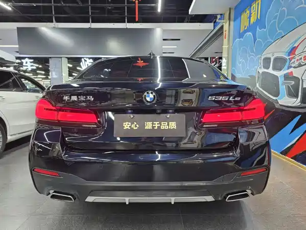 BMW 5 Series New Energy 2021