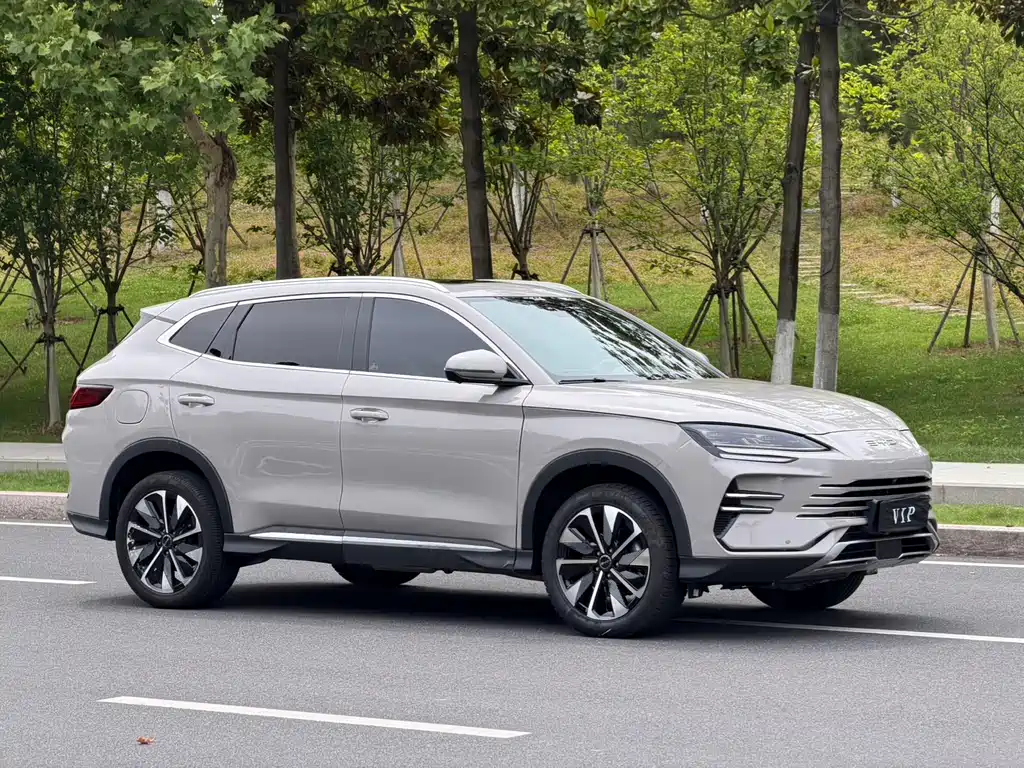 BYD PLUS New Energy 2025 — фото 3