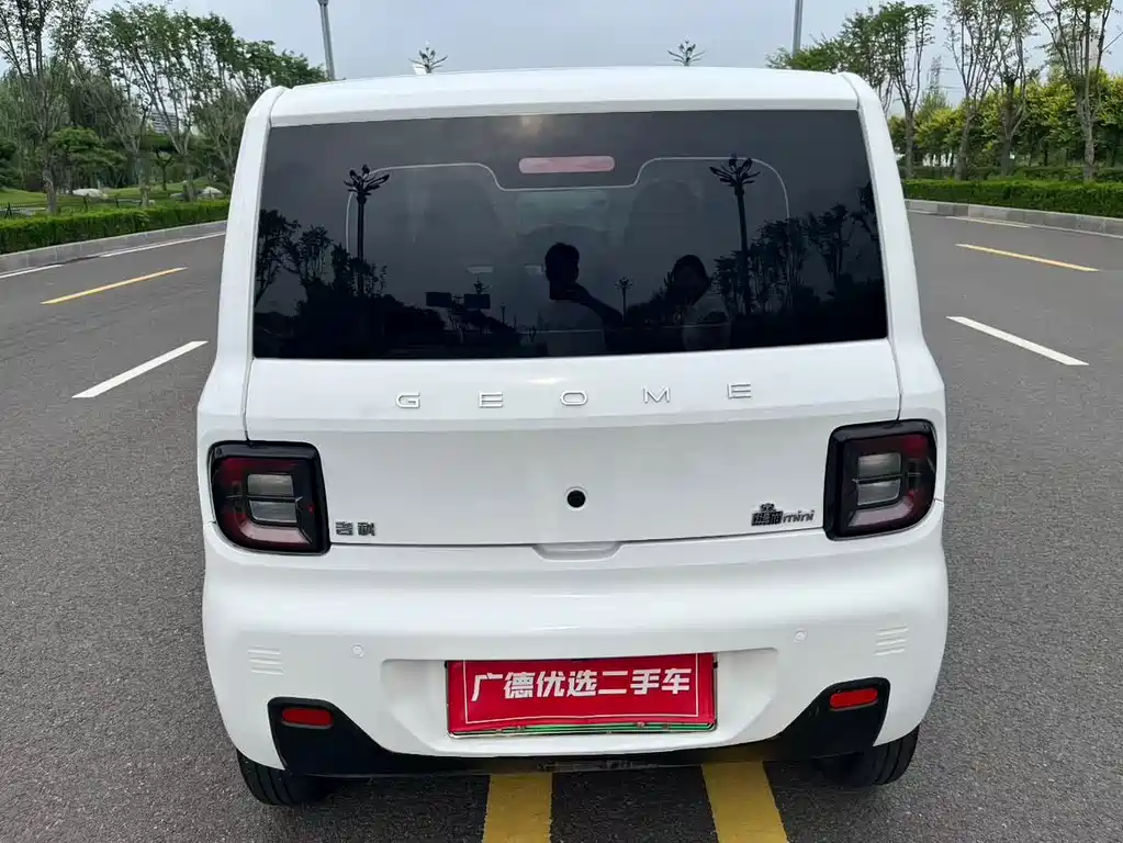 Geely Galaxy Panda 2024