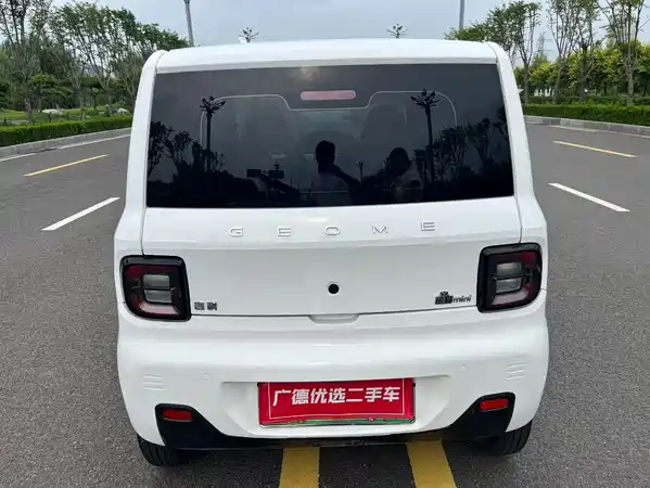 Geely Galaxy Panda 2024