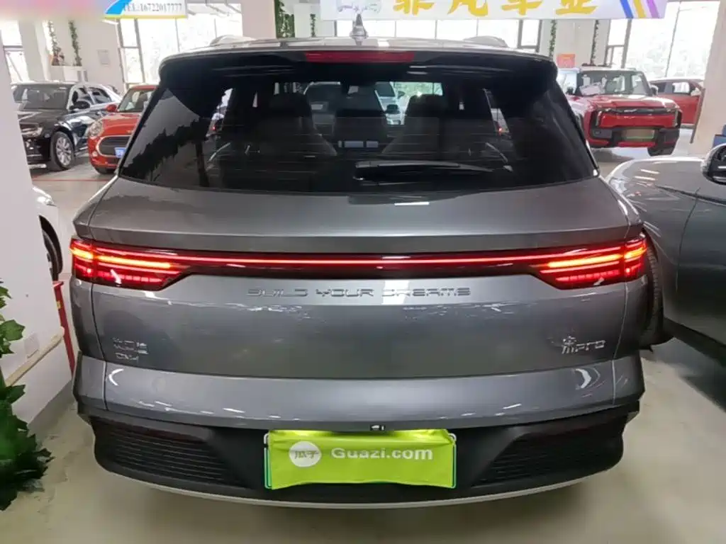 BYD Pro New Energy 2024 — фото 6