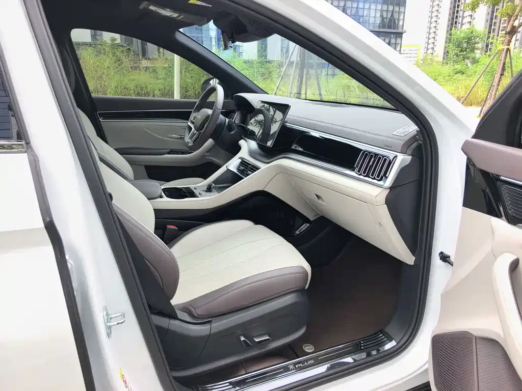 BYD Song PLUS New Energy 2024 — фото 21