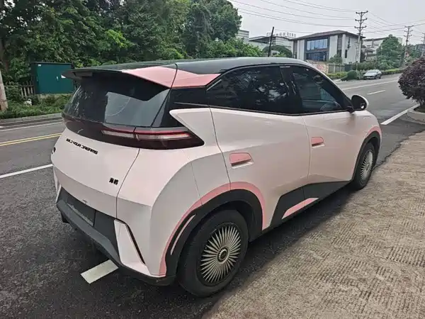 BYD Seagull 2024