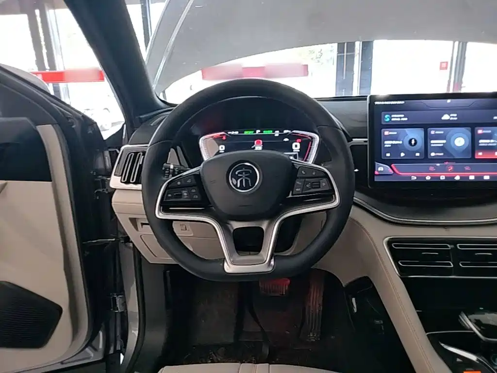 BYD PLUS New Energy 2023 — фото 11