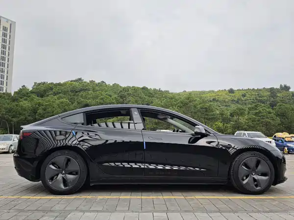 Tesla Model 3 2020