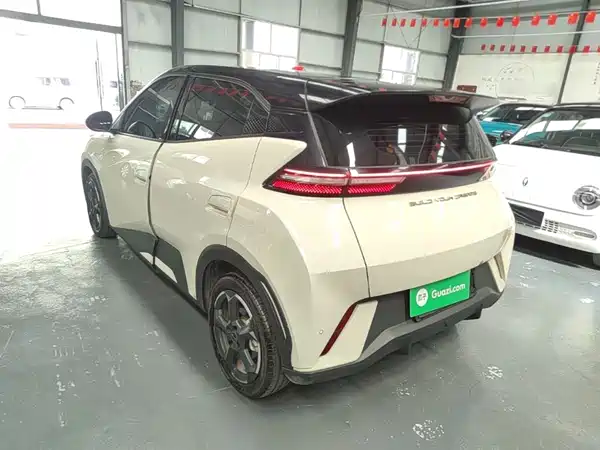 BYD Seagull 2024
