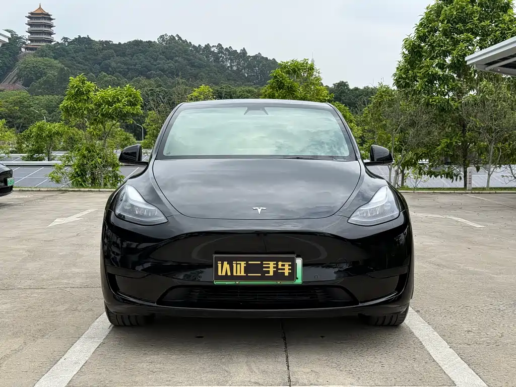 Tesla Model Y 2023 — фото 2