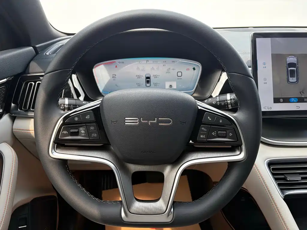BYD Song PLUS New Energy 2024 — фото 9