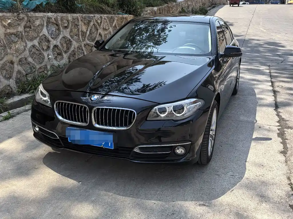 BMW 5 Series 2015 — фото 1