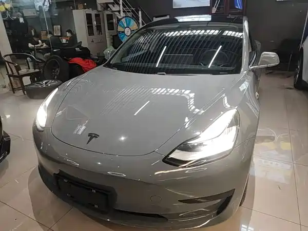 Tesla Model 3 2019