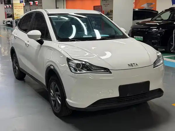 Neta V 2022