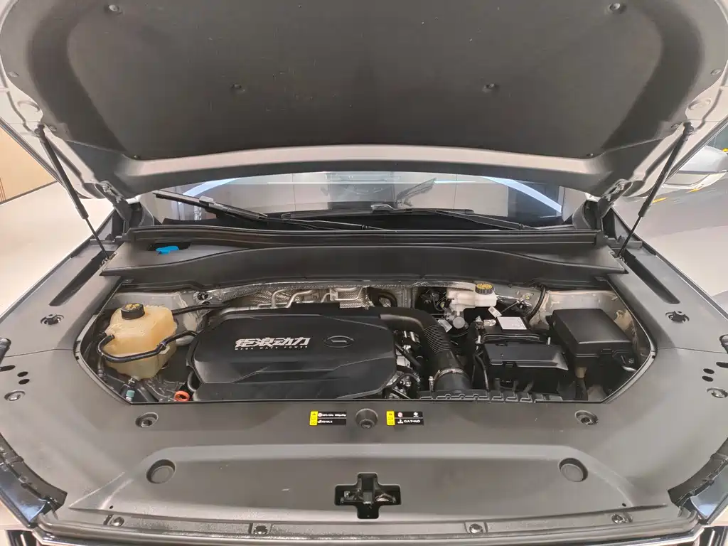 GAC Motor Trumpchi GS8 2023 — фото 16
