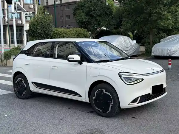 Dongfeng Nano 01 2024