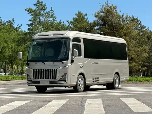 Hongqi Golden Sunflower 2024