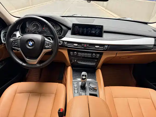 BMW X6 2018