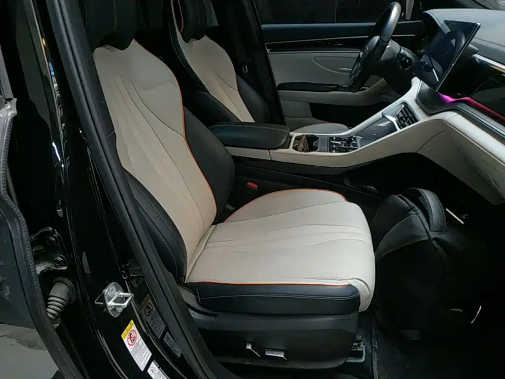 BYD PLUS New Energy 2023 — фото 25