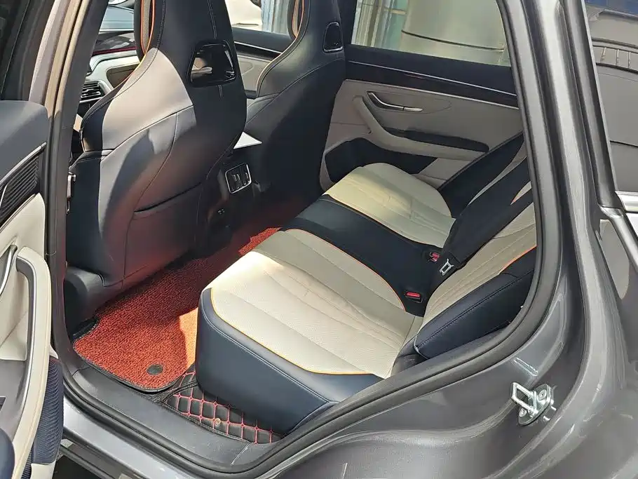 BYD Song PLUS New Energy 2023 — фото 11