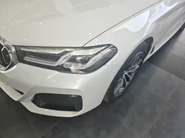 BMW 5 Series New Energy 2022