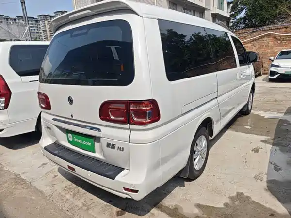 Dongfeng Lingzhi 2019