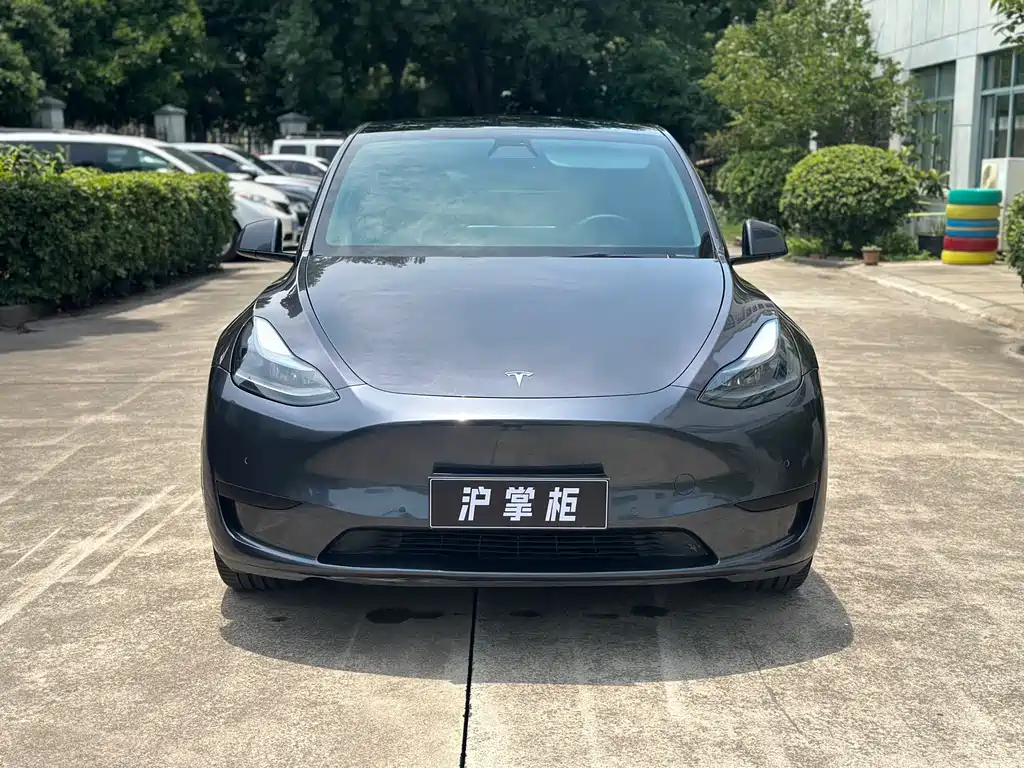 Tesla Model Y 2024 — фото 2