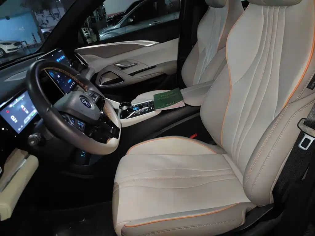 BYD Song Pro New Energy 2025 — фото 11