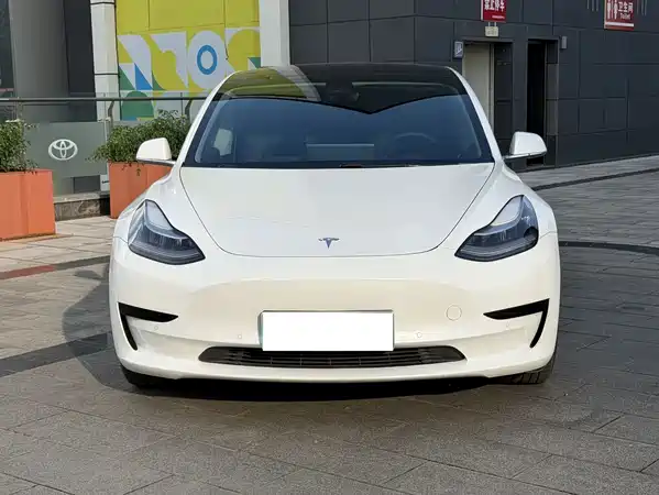 Tesla Model 3 2020