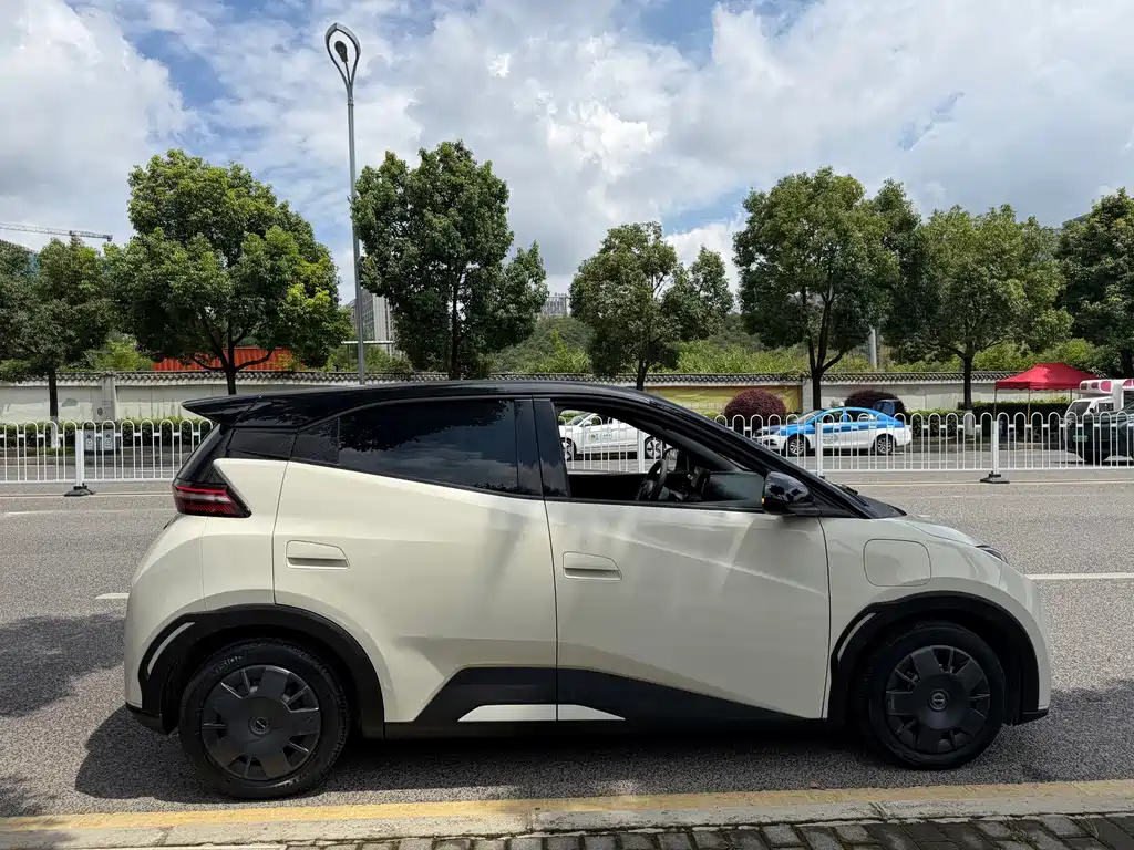 BYD Seagull 2024