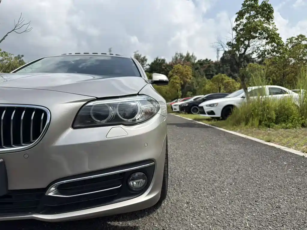 BMW 5 Series 2016 — фото 10