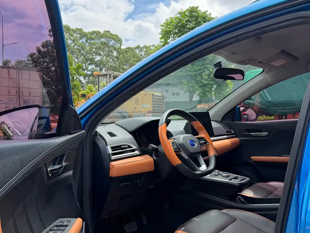 BYD e2 2020